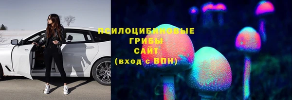 дмт Армянск