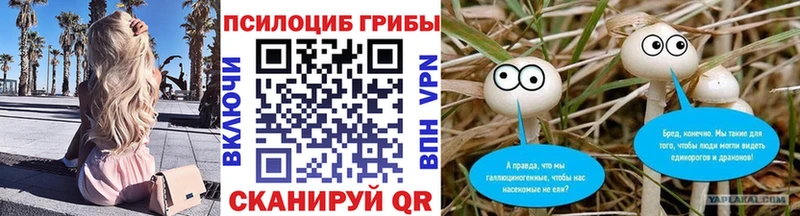 Галлюциногенные грибы Psilocybe Котовск
